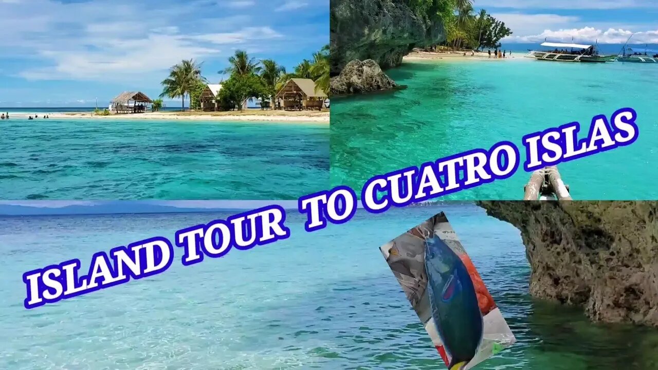 ISLAND TOUR TO CUATRO ISLAS/FISHING 🐟🐠🐡