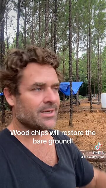 Forest pigs! Silvopasture and Regenerative agriculture