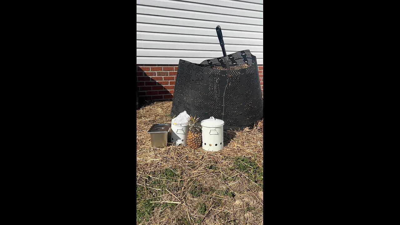 Adding food scraps to a geobin compost pile