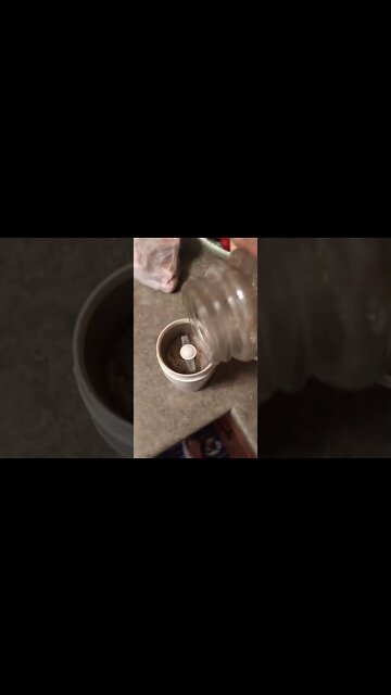 Yerba Machatafe part 1