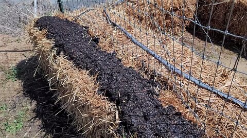 My Seed Bed is In, and The Green Beans are Planted, Oh Boy!!!