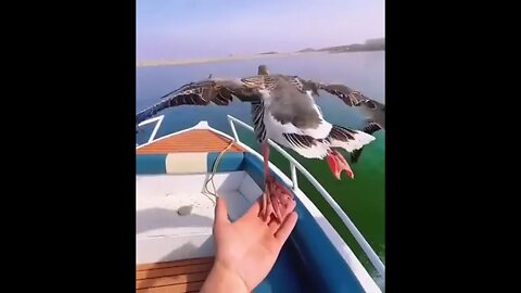 Air support