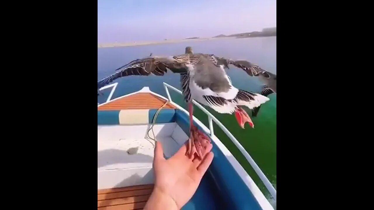 Air support