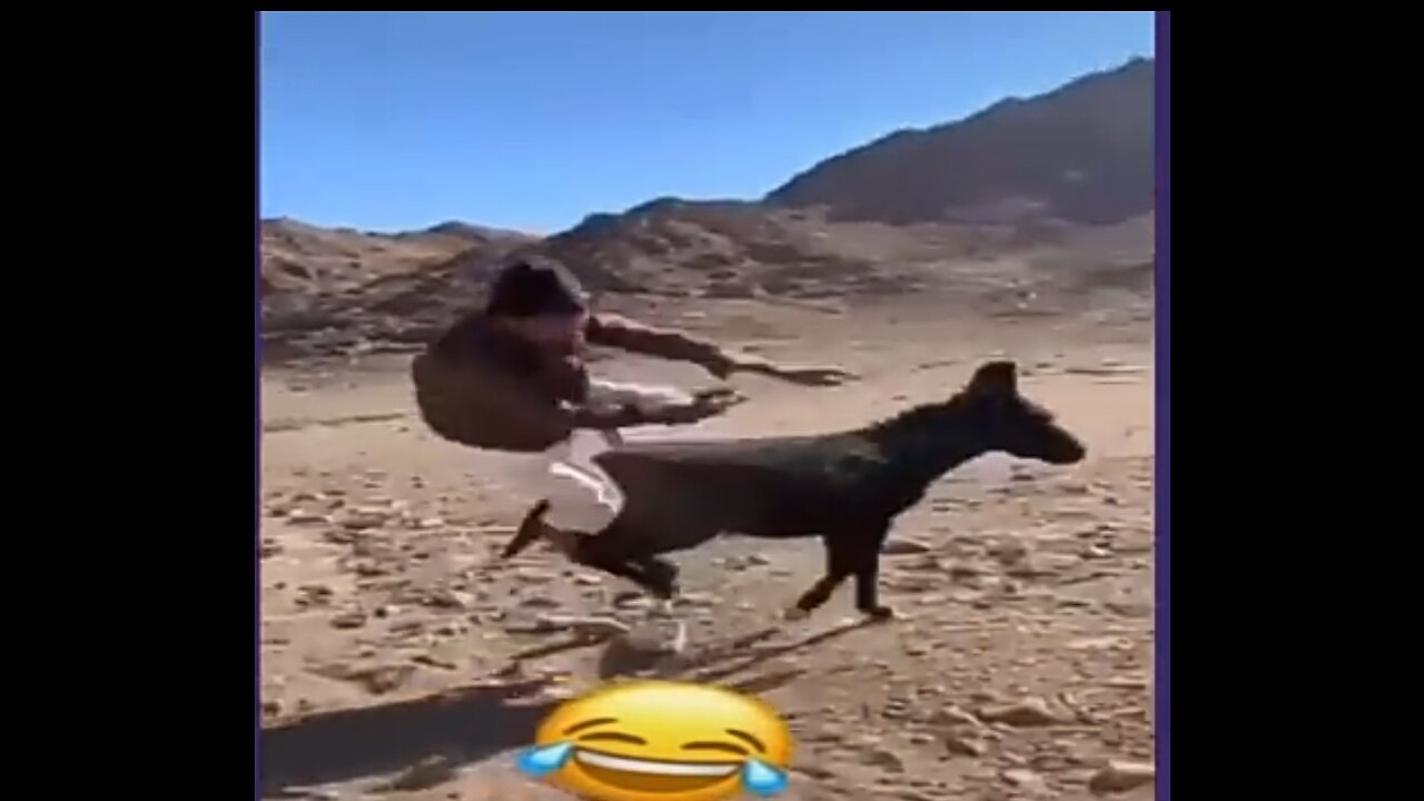 موت ديال الضحك 😁😁😁 لقطات مضحكة للحيونات