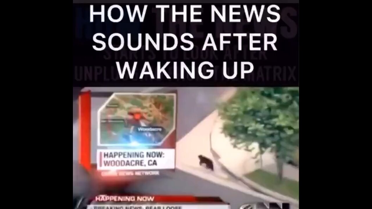This is how we see the fake news now.