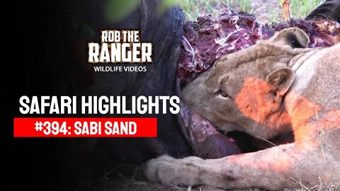 Safari Highlights #394: 11 - 13 March 2016 | Sabi Sand Wildtuin | Latest Wildlife Sightings