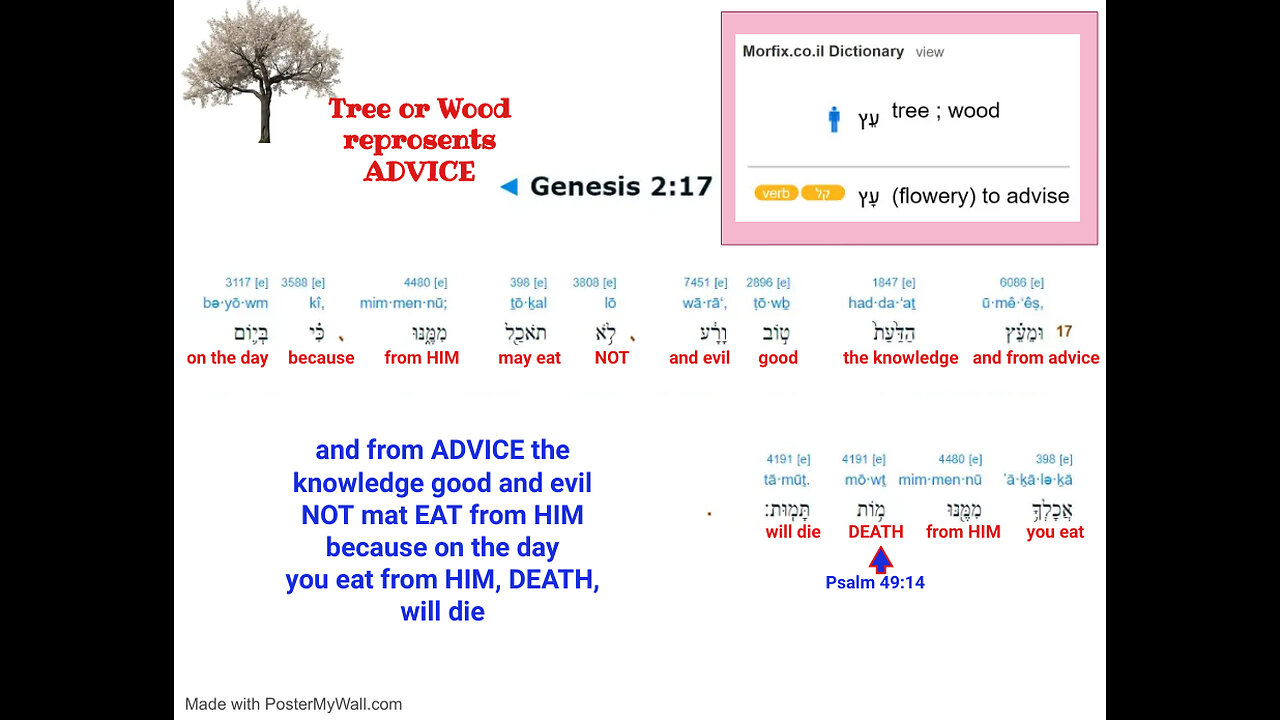 🌳Genesis 2:17🌳WHO IS THE TREE🌳(ADVICE) of KNOWLEDGE ?? What the SCRIBES HID in translation🌳