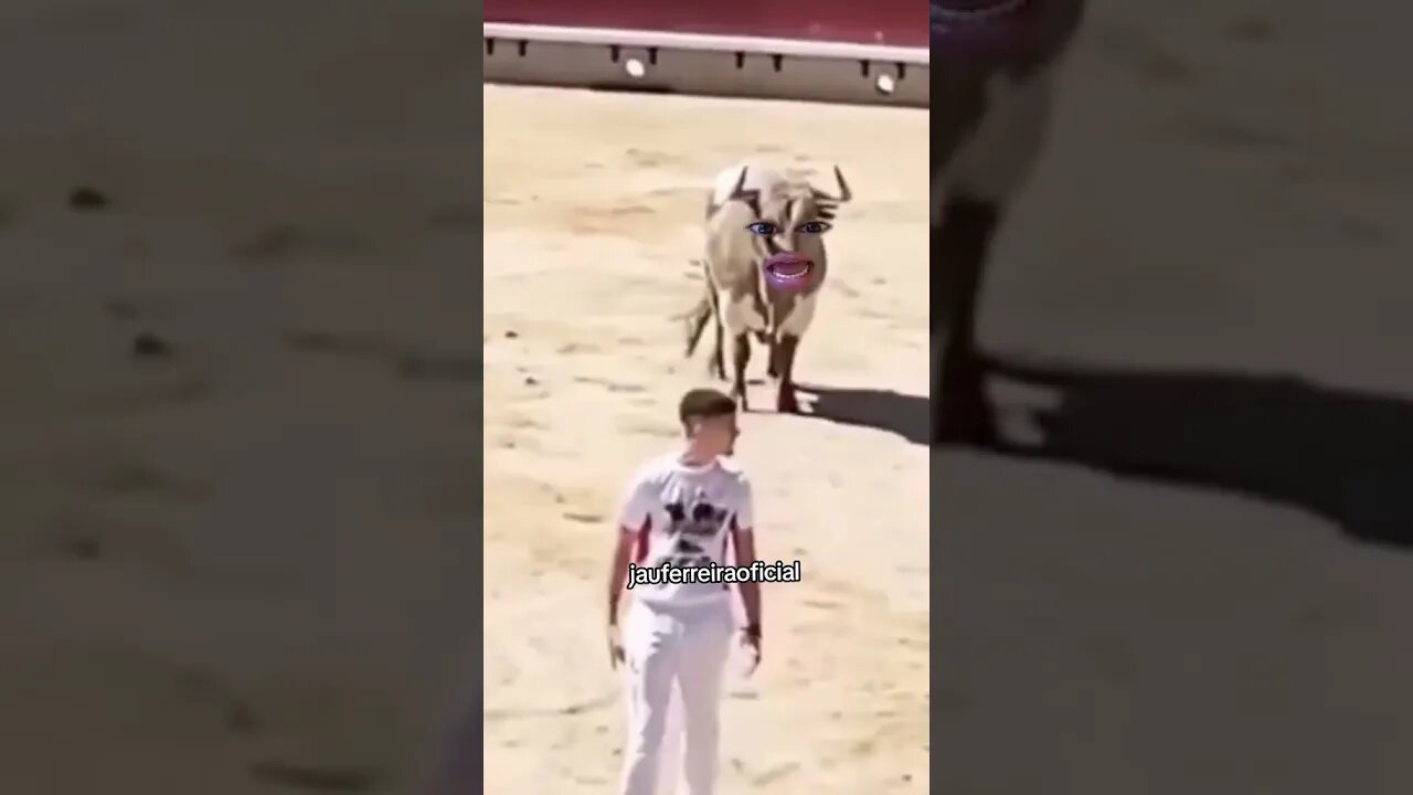 lá ele