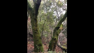 Hiking Bear Creek Trail