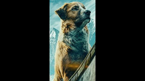 Call Of Wild #viral #amazing #dog