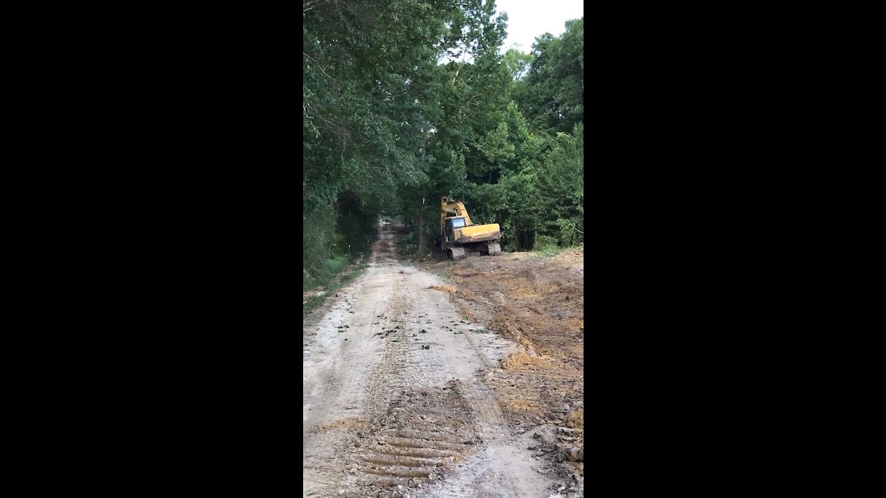 Tree Trimming