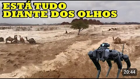 DESERTO E SERTÃO VIRAM MAR, SOLUÇÃO PARA FURTOS É + TECNOCRACIA, CÃO CAÇADOR JÁ ESTÁ NAS RUAS E +