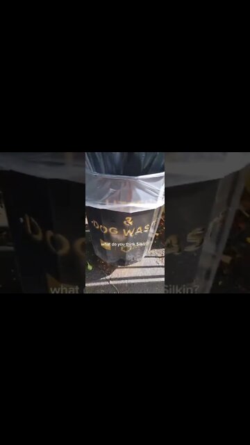 Don't be lazy 🙄 pick up your dog poo!!! #Shorts #rottweiler #dogs