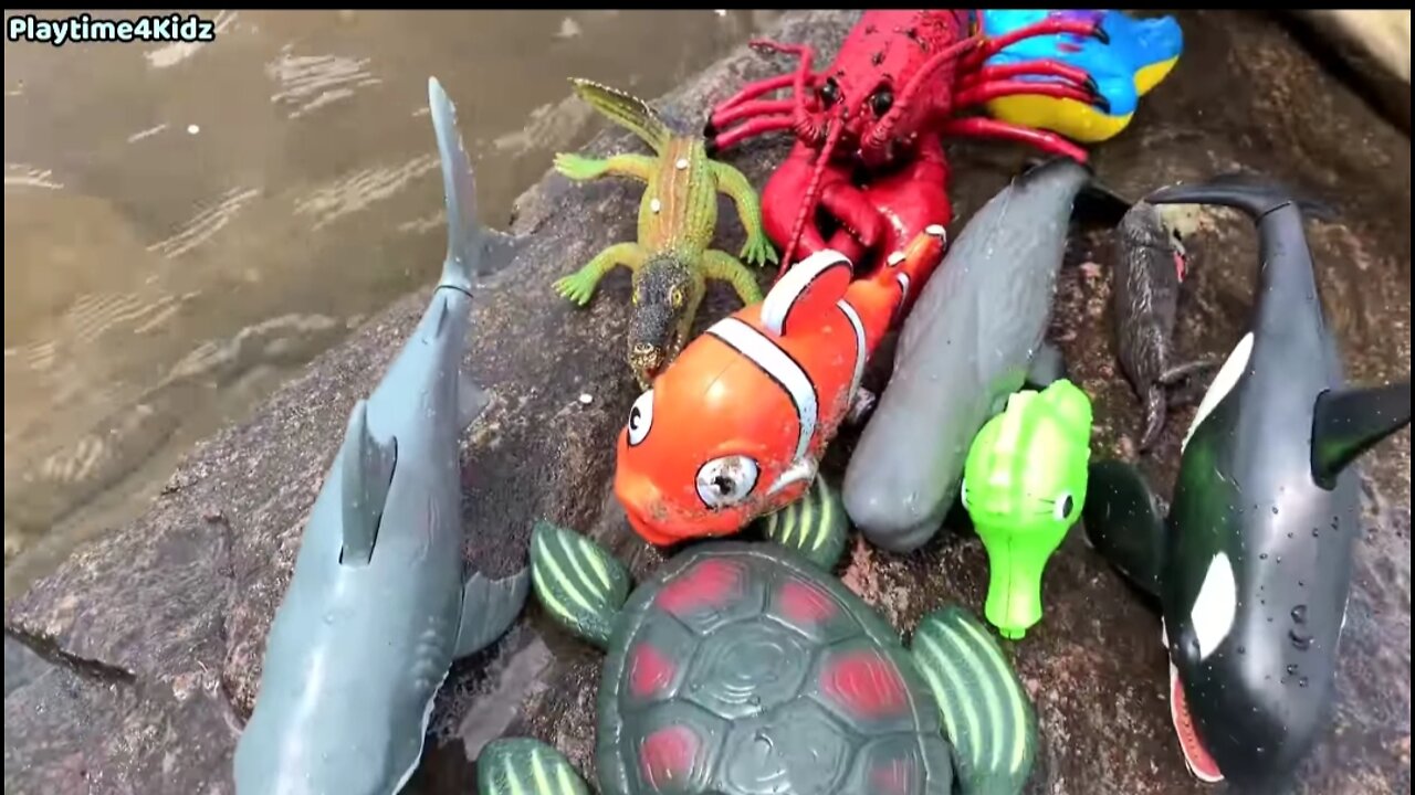 Sea Animal Toys This Summer at the Shore