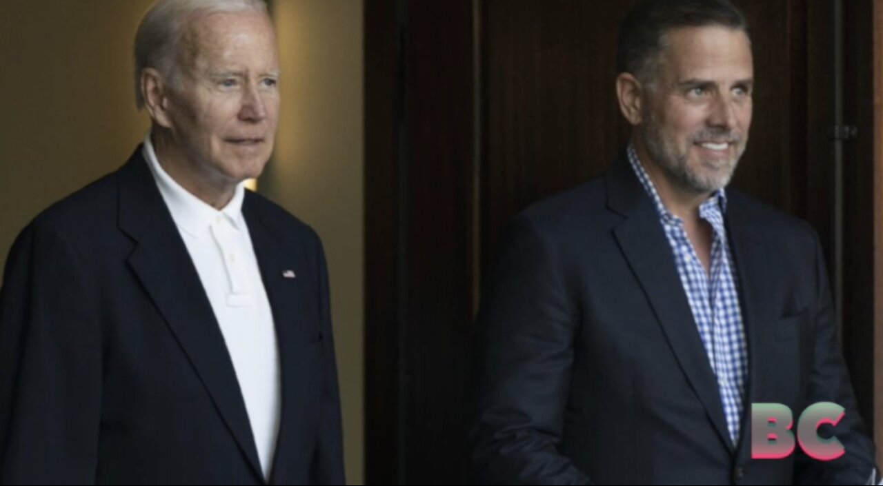 IRS agent alleges Hunter Biden probe is being mishandled