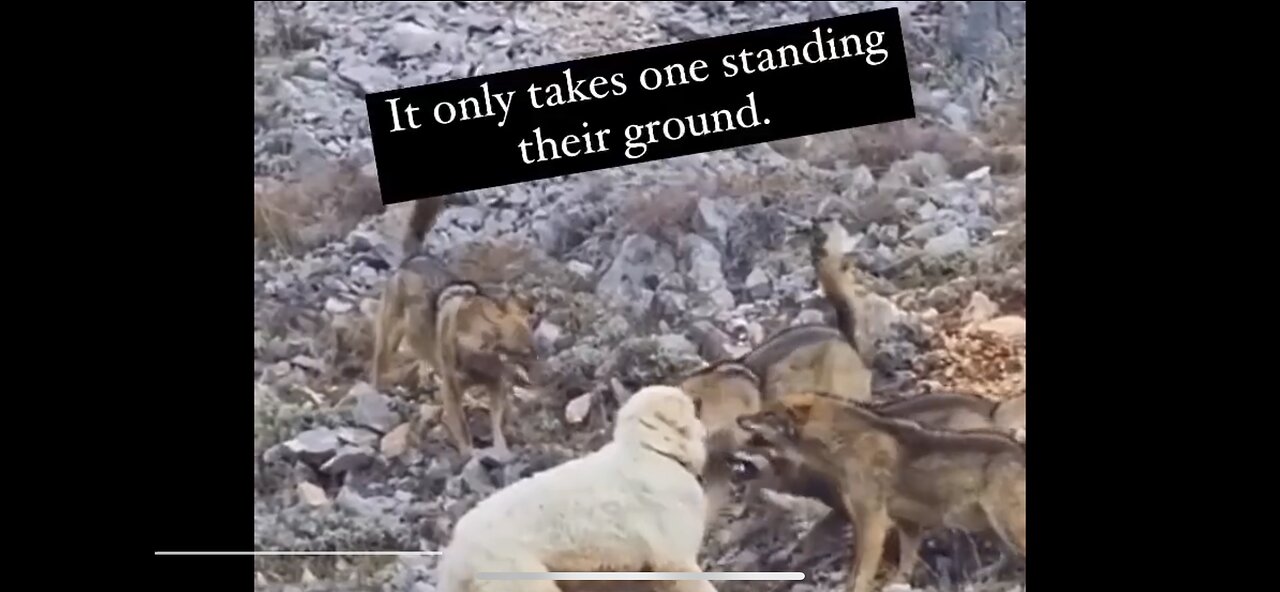 IT ONLY TAKES ONE STANDING THEIR GROUND !!