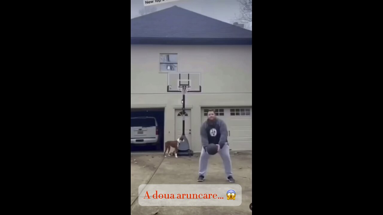 Tot ce ai nevoie. 😊