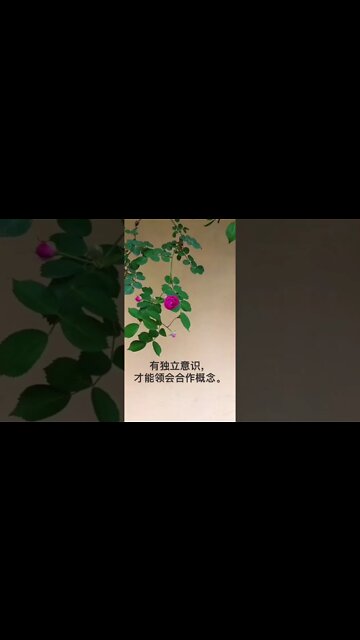 开悟堂世界公民频道 Kai wu tang world citizen chann