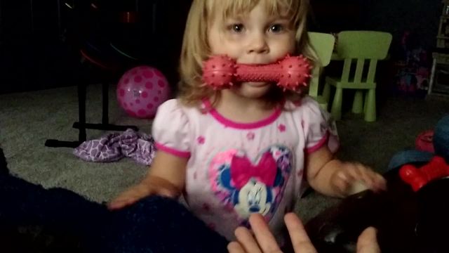 Toddler pretends to be a dog