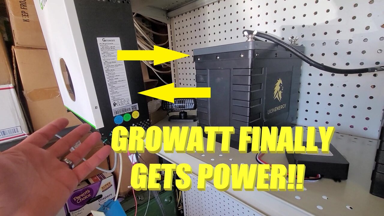 Let The Testing Begin! Growatt is Finally Alive!