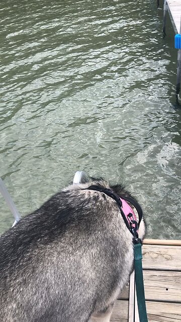 Friday August 22, The Holy Spirit prays for us.