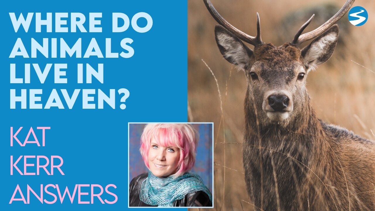 Kat Kerr: Where Do Animals Live And What Do They Do In Heaven? | June 16 2021