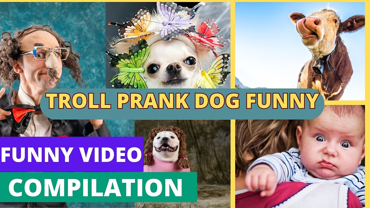 Prank Dog Funny & fake Lion and Fake Tiger Prank To dog # rumble