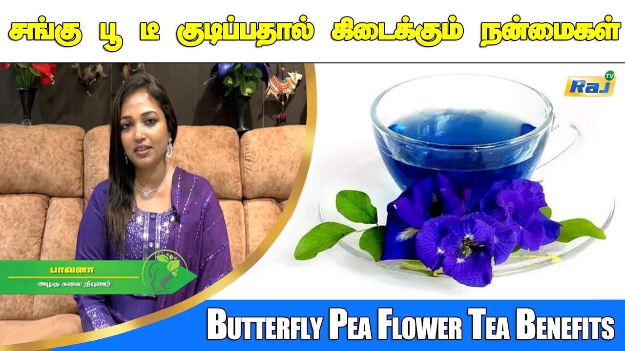 சங்கு பூ தேநீர் நன்மைகள் | Butterfly Pea Flower Tea Benefits | Sangu Poo Tea | Raj Television