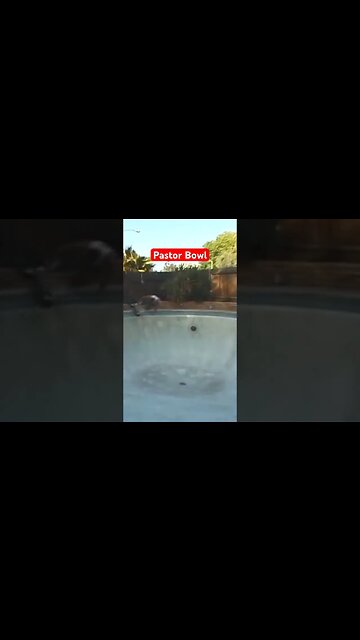 Backyard POOL PARTY!