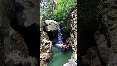 Governa Falls Located in St.Andrew #shortsfeed #shortsvideo #nature #jamaica #shortviral #fy #short