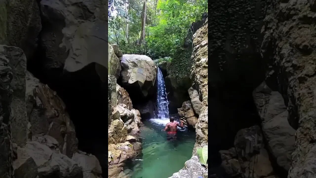 Governa Falls Located in St.Andrew #shortsfeed #shortsvideo #nature #jamaica #shortviral #fy #short
