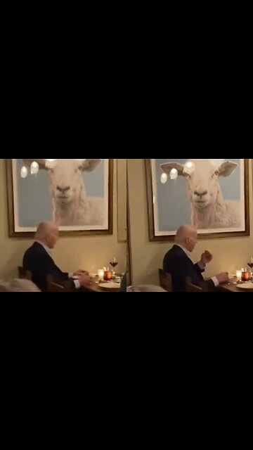 Anti-War Protesters Crash Biden's Meal, Confront President