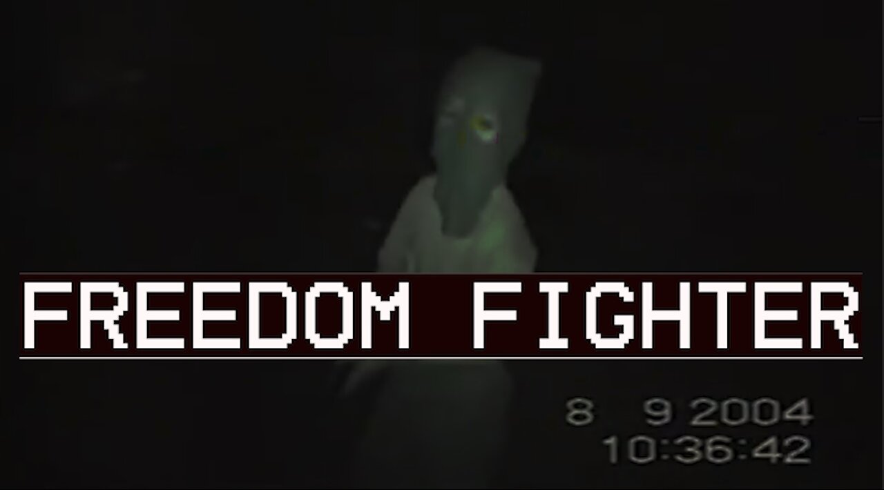 Freedom Fighter ( Aesthetic )