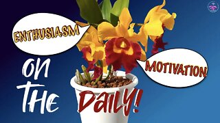 How I have maintained enthusiasm & stayed motivated about orchids for decades! #ninjaorchids