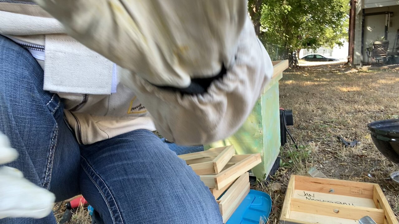The whole shebang! Watch me transfer a colony in a water meter to a brood box.