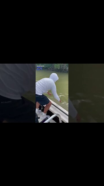 Shark Drags Man of boat Florida Everglades