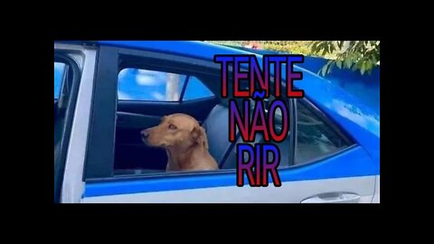 Tente não rir - A GANGUE DO CARAMELO TÁ REFORÇADA 🤣