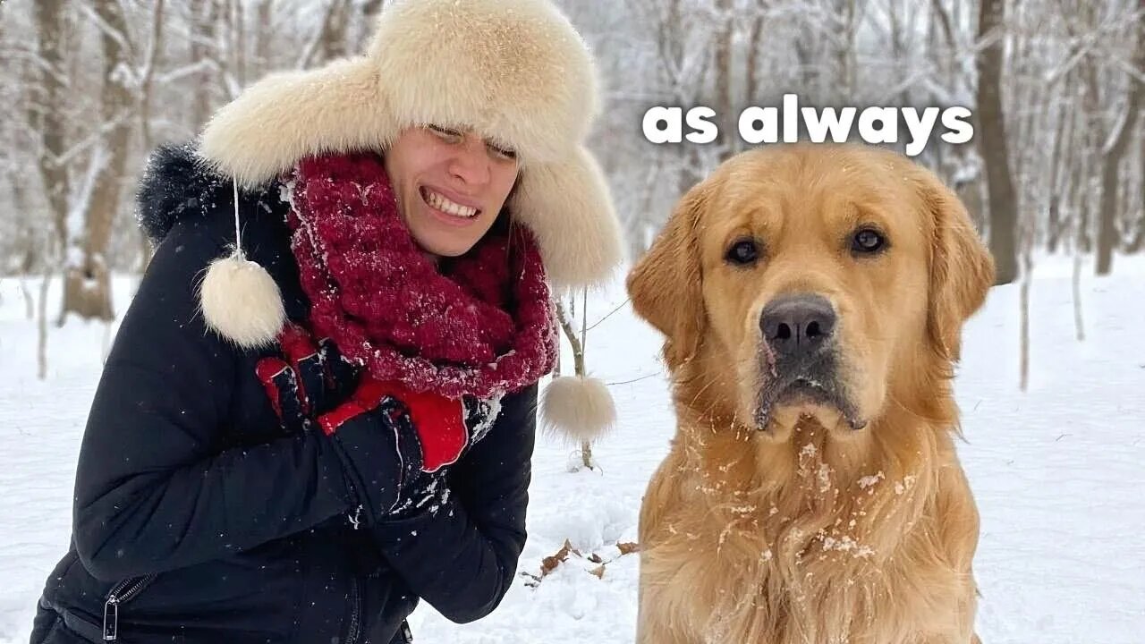 Faking My Death In Front of My Dog - Winter Edition