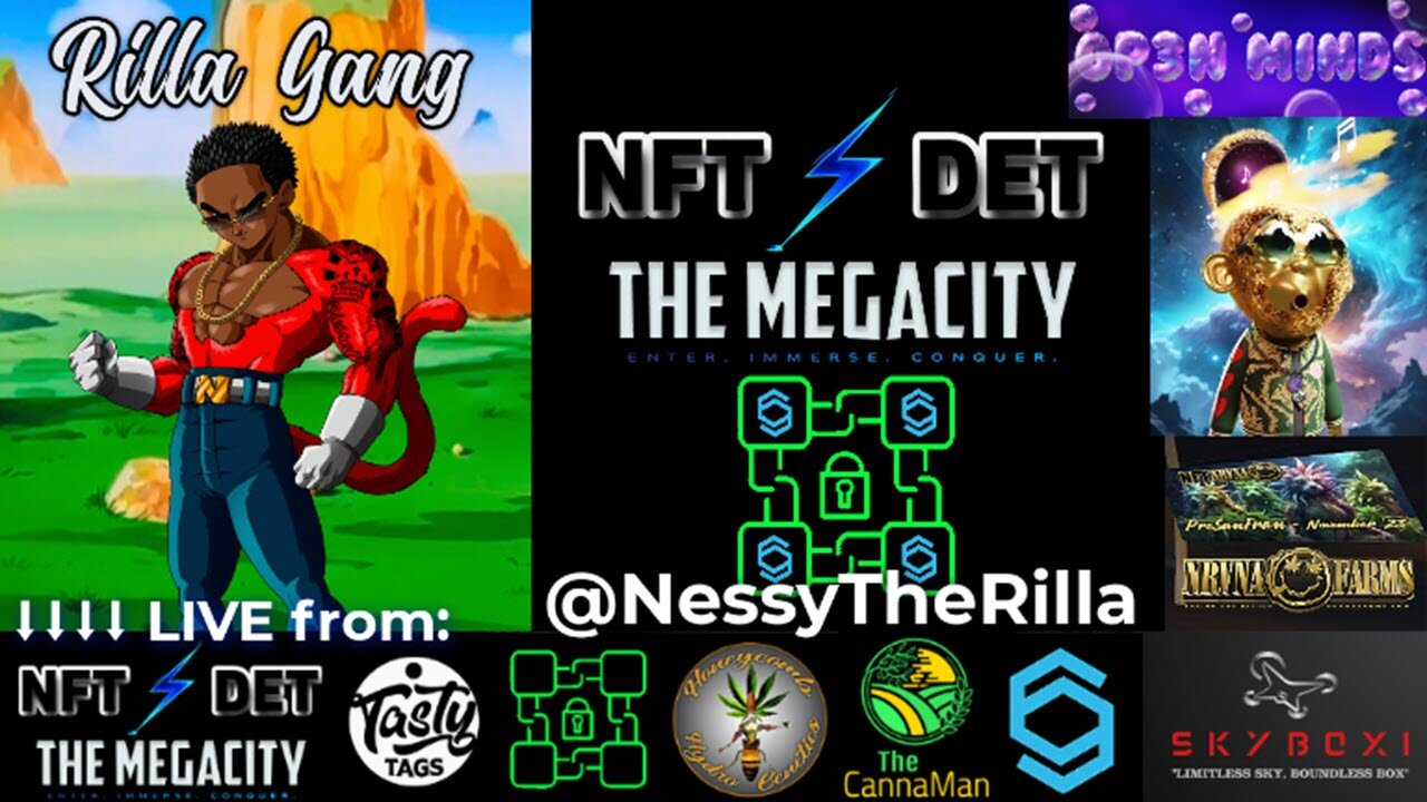 Nessy The Rilla - LIVE at #NFTDET