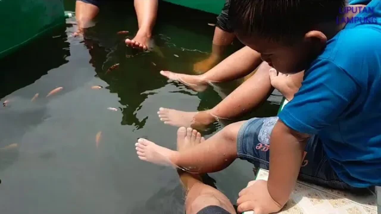 BERMAIN AIR DI KOLAM KARANG ANYAR JATI AGUNG LAMSEL