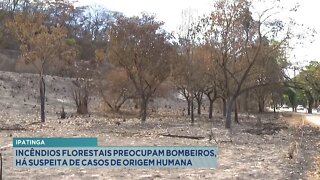 Ipatinga: Incêndios Florestais preocupam Bombeiros, há suspeita de casos de Origem Humana.