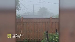 Heavy rain pelts backyard, reduces visibility