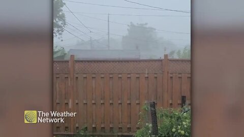 Heavy rain pelts backyard, reduces visibility