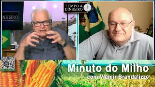 Milho pagando mais ba exportação nesta semana