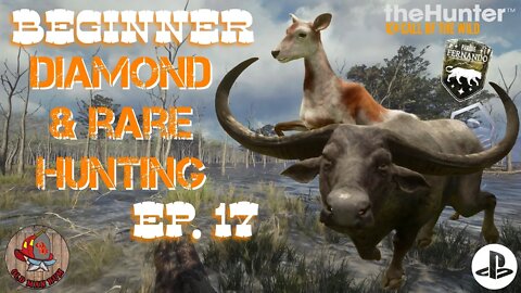 Beginner Diamond & Rare Hunting Ep 17 theHunter Call of the Wild