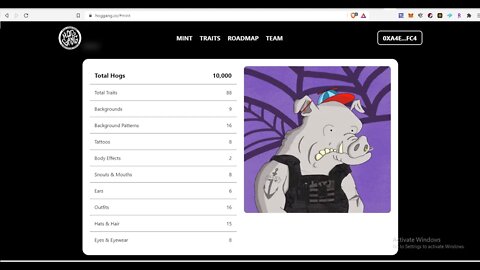 Another Gamefi Nft Minting Opportunity? 10,000 Hogs To Mint. Is Hoggang Scarce Enough? 0.07 ETH