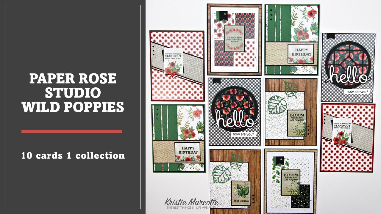 Paper Rose Studio | Wild Poppies | 10 cards 1 collection