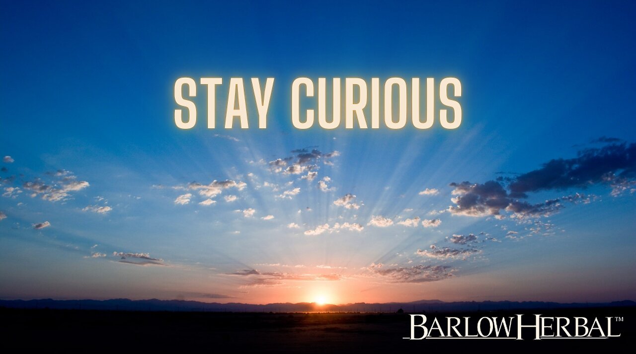Stay Curious as You Search for Truth