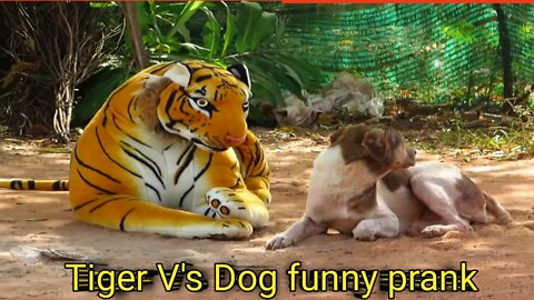 Fake'tiger funny dog prank 😄