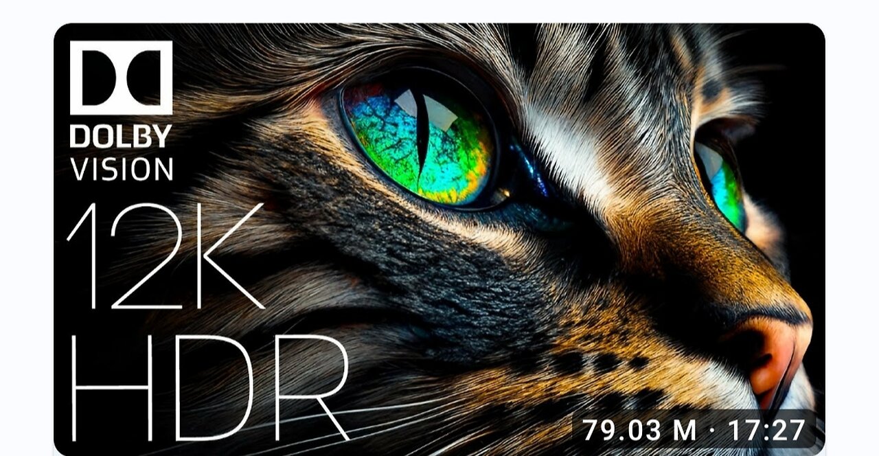 WILD KINGDOM: The Most Beautiful Animals 8K VIDEO ULTRA HD